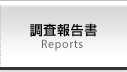 調査報告書